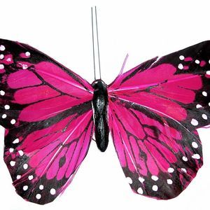 Meet your Posher, Rita